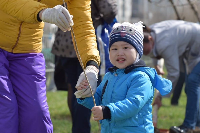 Атыраулықтарға мыңдаған көшет тегін таратылады